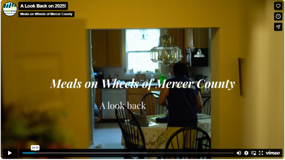 look back 2025 video