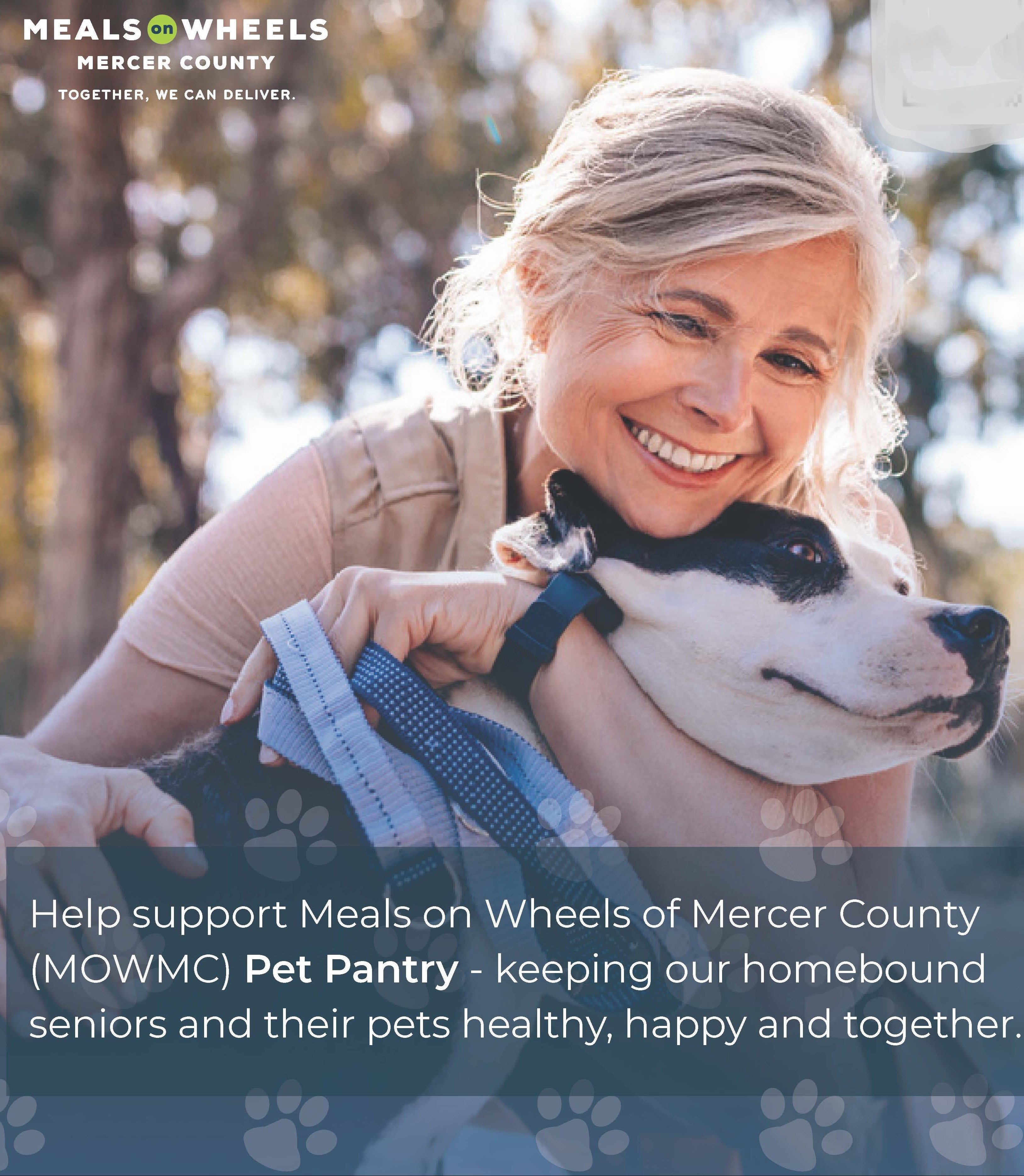 pet food collection